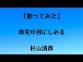 『青空が目にしみる』(杉山清貴)を歌ってみました🎶