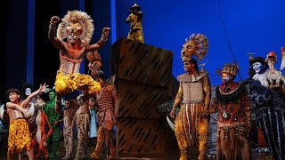 Lion King Broadway Bows FRONT ROW POV