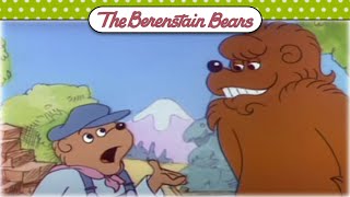 Kong For a Day  Berenstain Bears Official