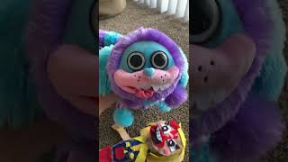 My poppy playtime plush collection #collection #poppyplaytimeplush #plush #plushies #collector #fyp