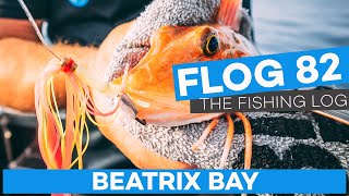 Flog 82 // Beatrix Bay Nightmare