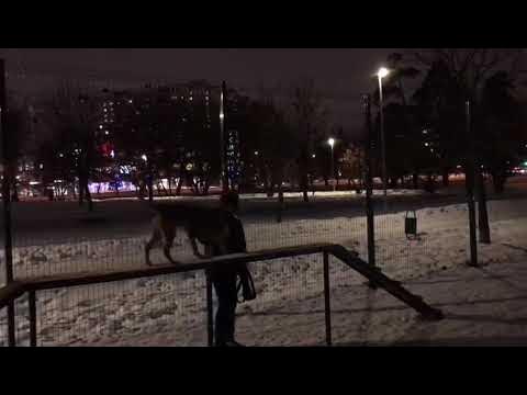 Кетрой - YouTube