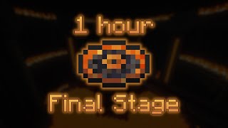 Final Stage (1 hour)