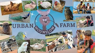 Urban Farm || Hounslow || Animal Farm || Budget Friendly || Family Time ||🫶🏻🫶🏻🫶🏻|| Feltam