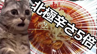 【猫ミーム】激辛ラーメン中毒者の末路【蒙古タンメン】