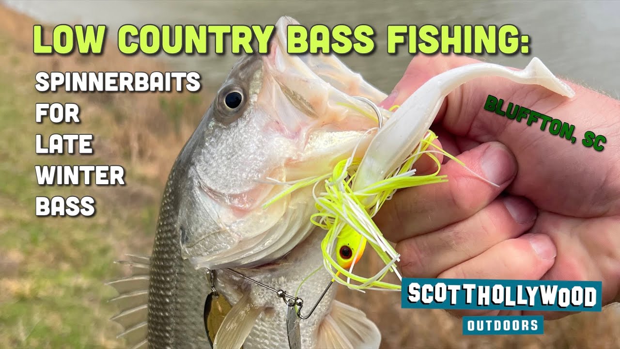 Spinnerbaits for Late Winter Bass (Low Country Bass Fishing) 