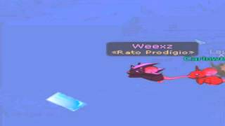 Transformice - Weexz E Carlowestje | Racing