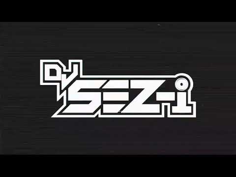 DJ SES Logo Animation