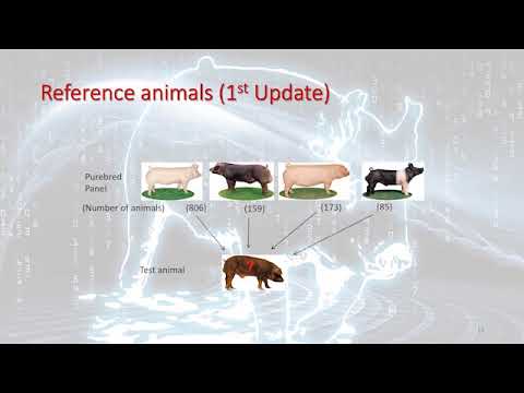 Evaluating Breed Composition using Genomic Data