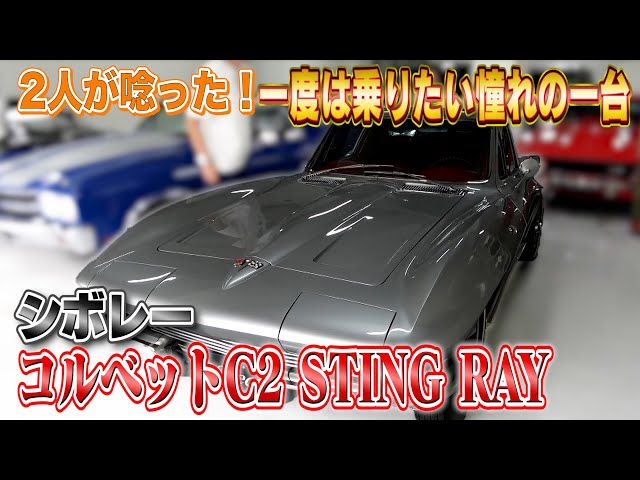 1975 コルベット 別注 リアルライダー 1975 コルベット 別注