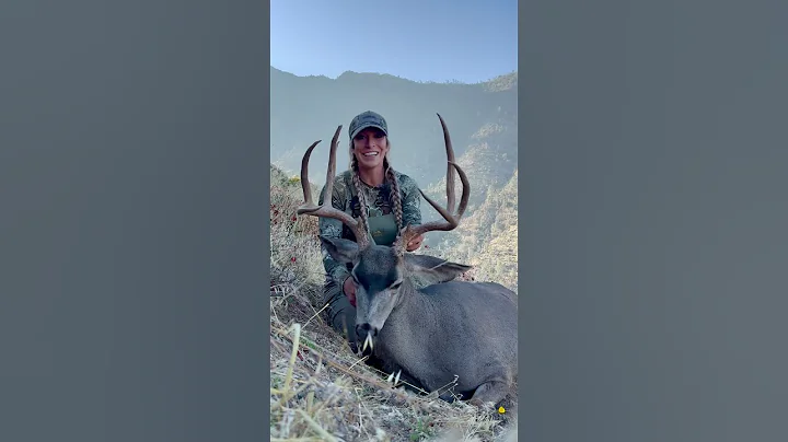 CA OTC Solo Mule Deer Buck