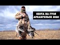 Охота на гуся в Архангельске
