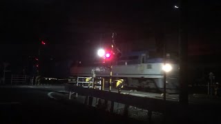 2018/4/29 高速貨B 1084レ EF66 117