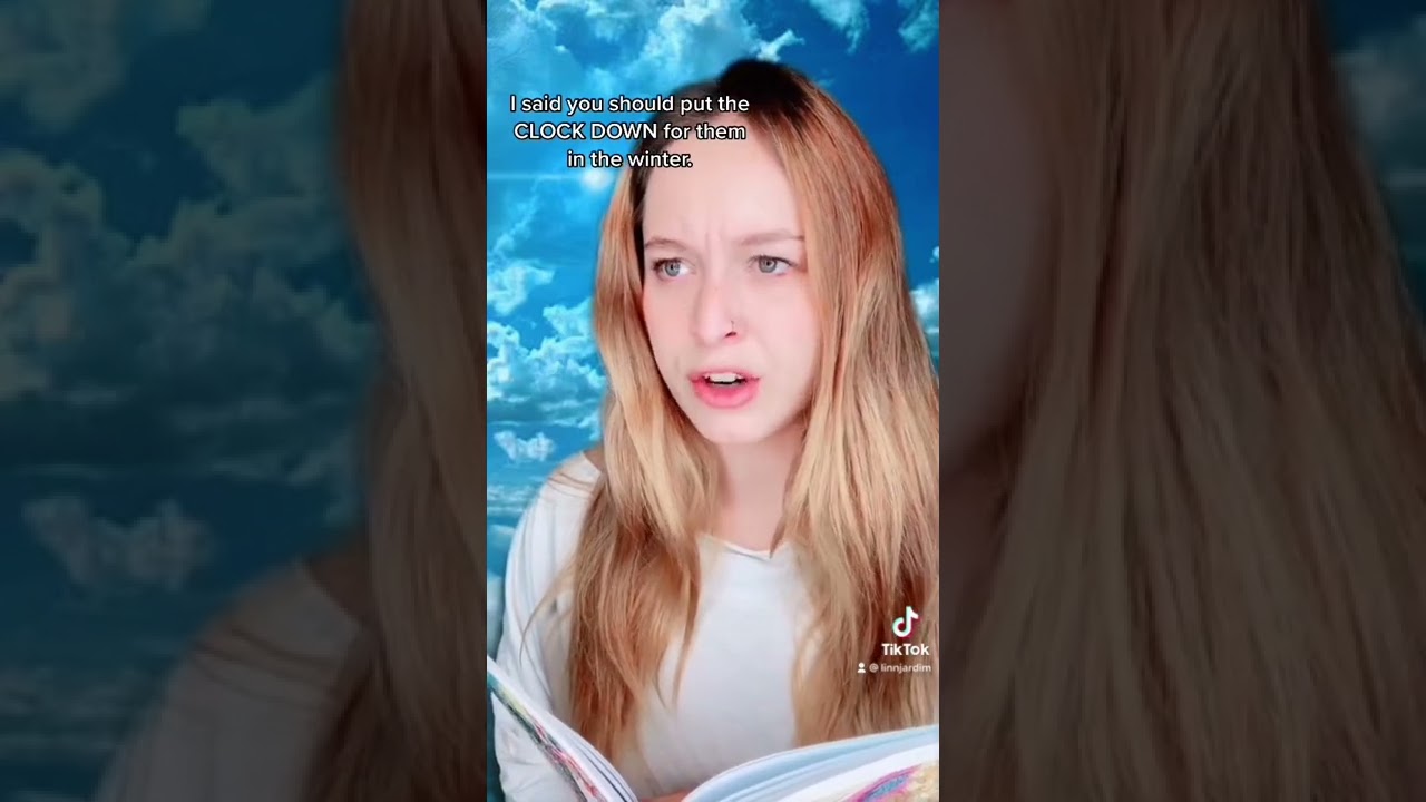 Will you laugh? tiktok linn jardim 