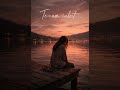 Te-am iubit #manele #dragoste #fyp #viral #romania #trending #iubire #dor #petrecere #muzica