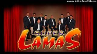 LOS SUPER LAMAS MIX Dj