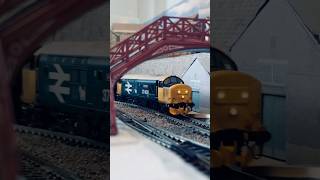Class 37 Railtour in real life and TT:120! #modelrailway #class37 #modelrailroad #railway