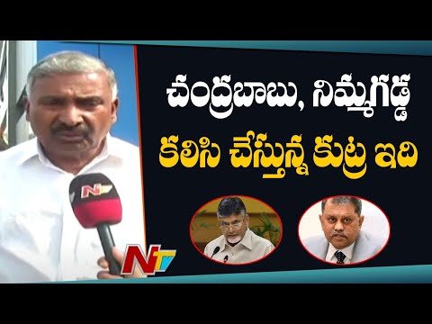 Will File Lunch Motion Petition In Supreme Court Against HC Verdict On Local Elections - Peddireddy