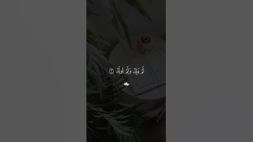 الشيخ ماهر المعيقلي سورة الإخلاص #القرآن_الكريم #قرآن