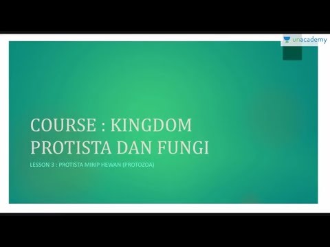 Kingdom Protista dan Fungi (Biologi - SBMPTN, UN, SMA): Protista Mirip Hewan