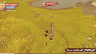 Wildcraft story: Revenge of the cheetah cub Part 1 screenshot 3