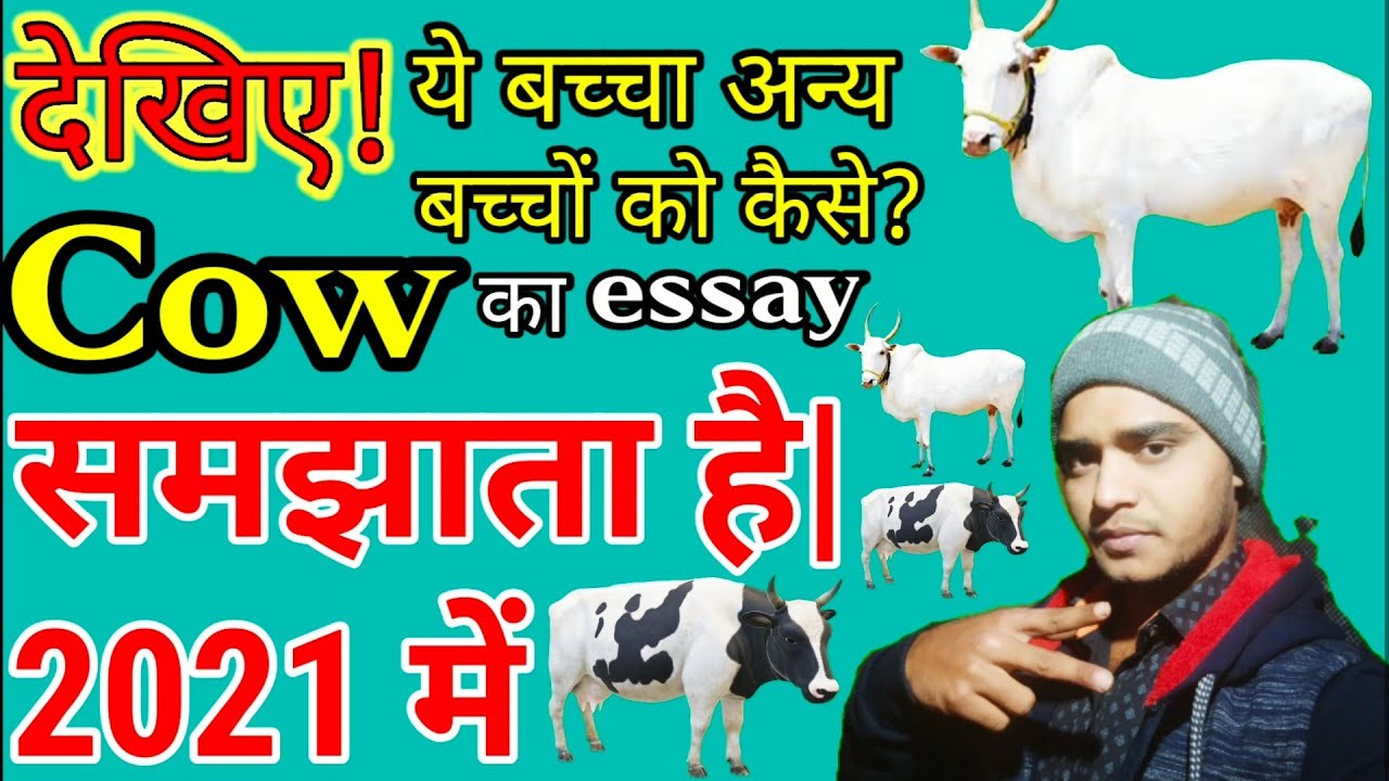 the cow essay hindi and english