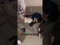 阿公起床陪我玩!