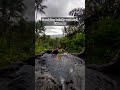 Infinity Waterfall In Sideman Must Do In Bali Shorts Youtubeshorts Tiktok Tiktoktrend