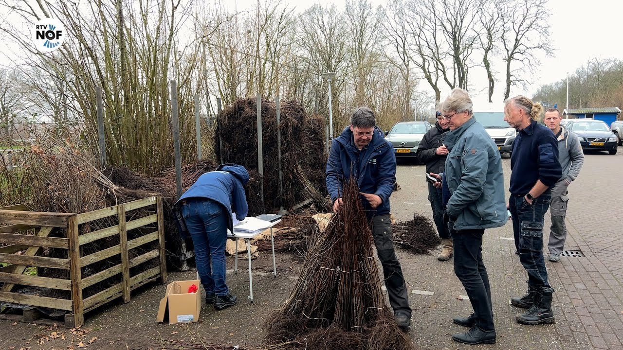 13.000 boompjes voor elzensingels en houtwallen in de Noordelijke Fryske Wâlden