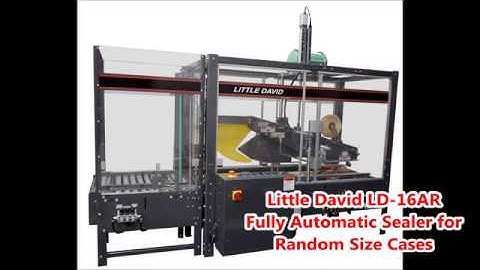 Little David LD-16AR Fully Automatic Random Case Sealer | ProPac.com