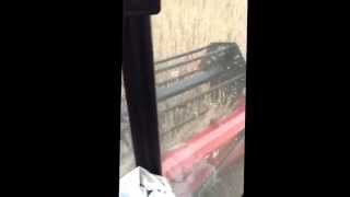 Harvest 2014 Case IH 1640