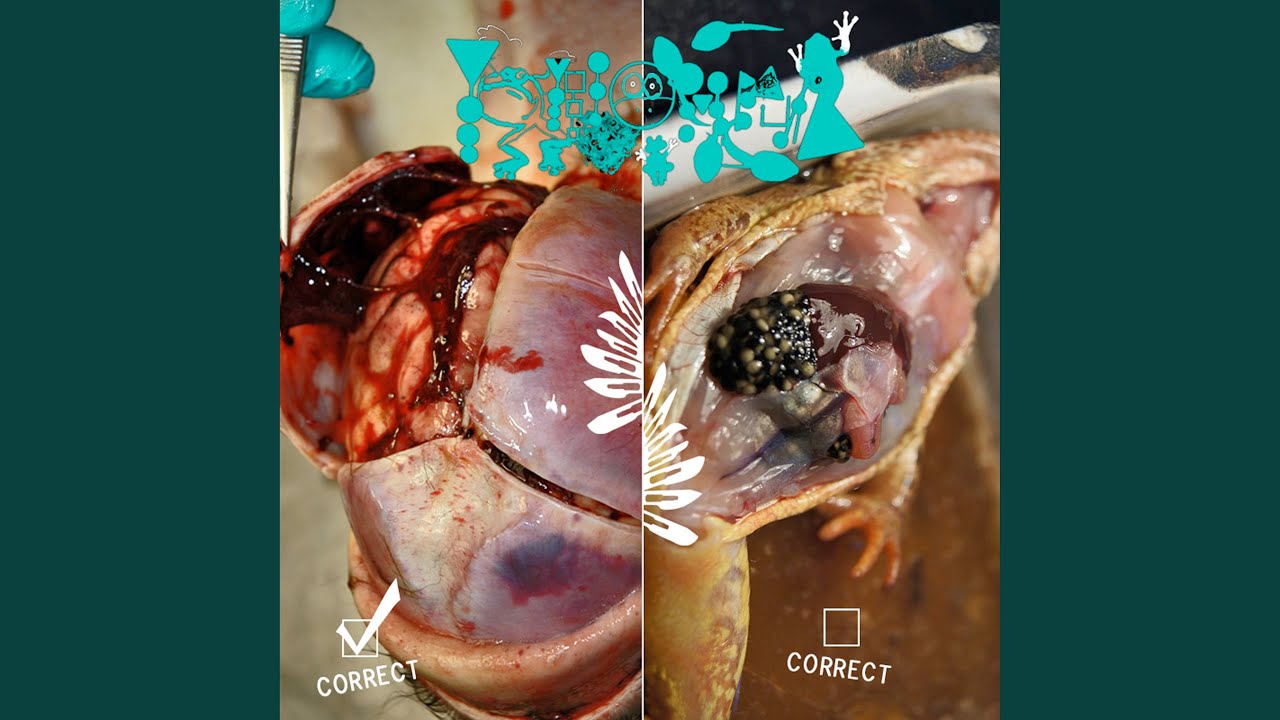 Watch Correct Dissect on YouTube Watch Correct Dissect on YouTube