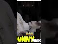 If you like funny videos, stay tuned 👍😂😂#funny #kesfet #funnyvideos #kesfetteyiz #youfunny