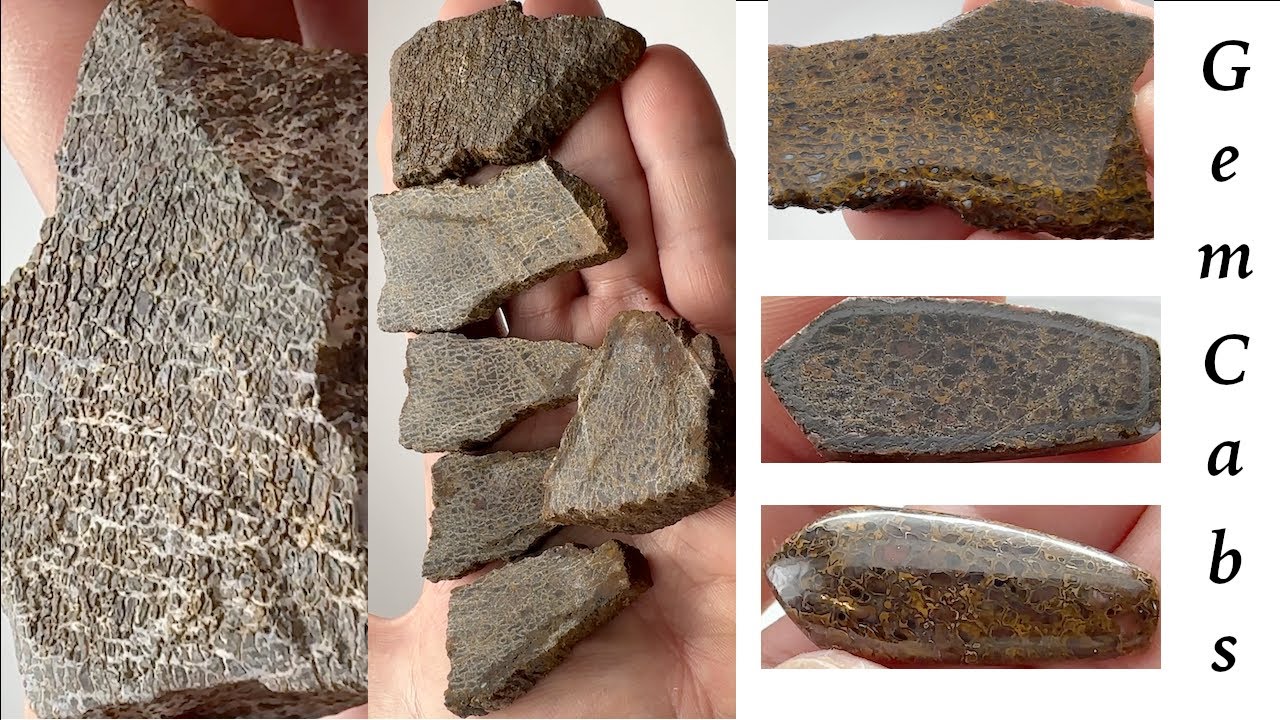 Cutting Dinosaur Bone Rough to Slabs to Cabochon 05 06 24