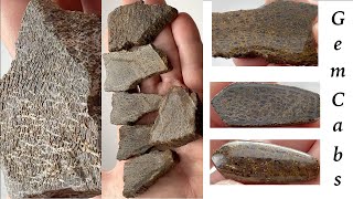Cutting Dinosaur Bone Rough to Slabs to Cabochon 05 06 24