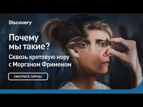 Почему мы такие, какие есть? | Сквозь кротовую нору с Морганом Фрименом | Discovery