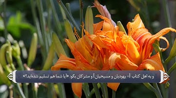 آیات صحابه در قران - سوره آل عمران آیه  20