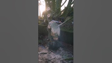 TIMBERRRRRRR!!! #arborist #treework #chainsaw #arbortec (meripilus Beech removal)