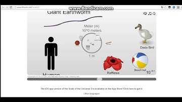 The Scale Of The Universe Quantum Foam-Human