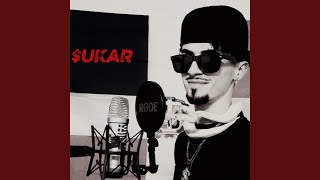Download Lagu SAN SUKAR / LEOPARD