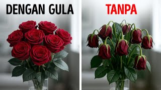 Download Lagu Trik Sehari-hari yang Anda Ingin Tahu Lebih Cepat MP3 Download Lagu Trik Sehari-hari yang Anda Ingin Tahu Lebih Cepat MP3