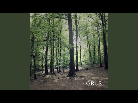 Andas (feat. Grus)