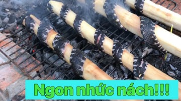 Rắn nướng cây mía món ngon miền tây