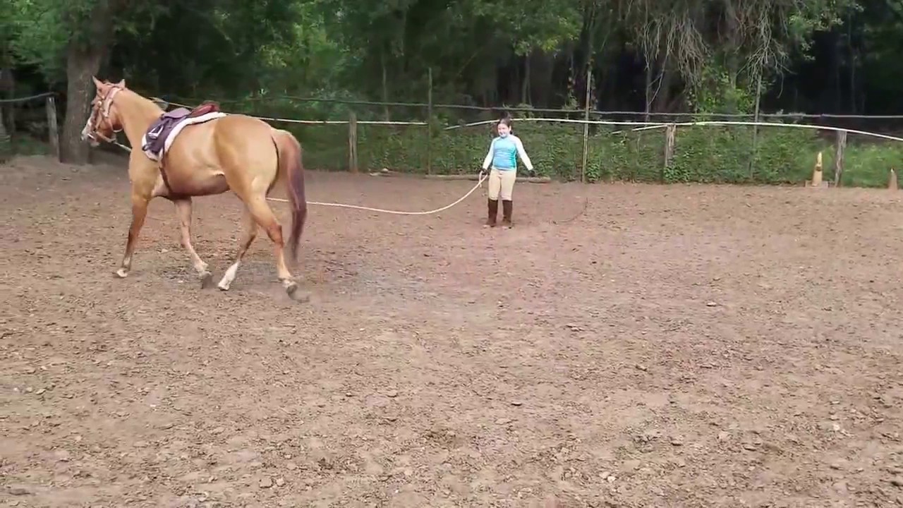 Youth English riding lesson highlights - 11 year old Emrie with Pepper ...