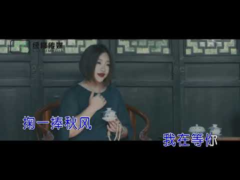 陈瑞【来不来都等你】原版MV~KTV字幕