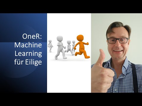 OneR: Machine Learning for Busy People