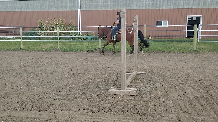 Video#2 of Kellie and Bruno day2