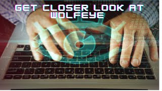 WOLFEYE REMOTE SCREEN A Closer Look at the Best Internet Monitoring Software screenshot 4