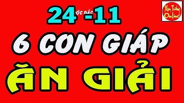 TỬ Vi Ngày 24 /11 6 Con Giáp ĂN GIẢI ĐẶC BIỆT Tiền Tiêu Thả Ga Nổi Danh Thiên HẠ
