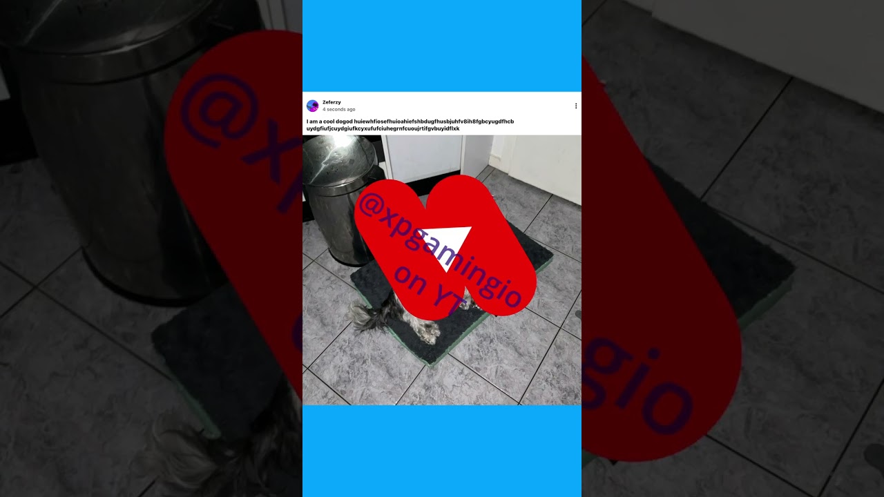 YouTube добавил публикации сообщества в ленту коротких видеороликов 